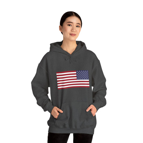 Men hoodies America flag Heavy Blend™ Hooded Sweatshirt USA flag