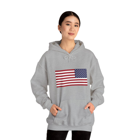 Men hoodies America flag Heavy Blend™ Hooded Sweatshirt USA flag