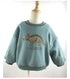 Children’s Comfortable Sweatshirt: Autumn-Themed, Fleece-Lined Dinosaur Hoodies for Kids - Warms Hoodies