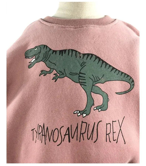Children’s Comfortable Sweatshirt: Autumn-Themed, Fleece-Lined Dinosaur Hoodies for Kids - Warms Hoodies