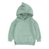 Premium Fleece Dinosaur-Themed Hoodies for Children - Ideal Spring Season Apparel - Warms Hoodies