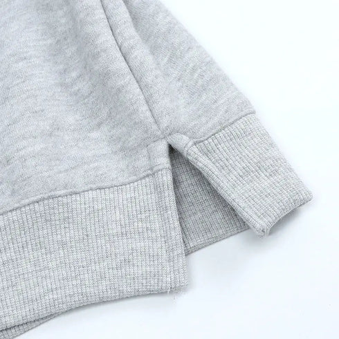 Premium Fleece Dinosaur-Themed Hoodies for Children - Ideal Spring Season Apparel - Warms Hoodies