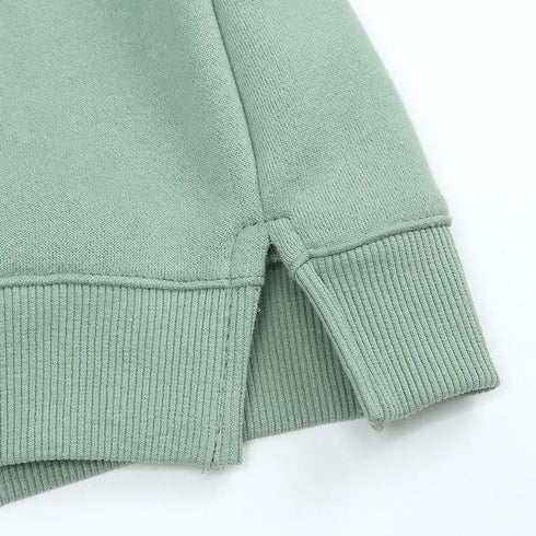 Premium Fleece Dinosaur-Themed Hoodies for Children - Ideal Spring Season Apparel - Warms Hoodies