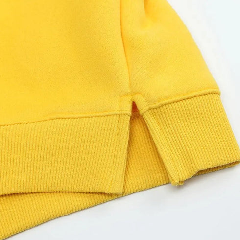 Premium Fleece Dinosaur-Themed Hoodies for Children - Ideal Spring Season Apparel - Warms Hoodies