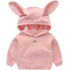 Premium Quality Children’s Hoodies for Spring and Autumn - Long Sleeve Pullovers - Warms Hoodies