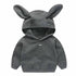 Premium Quality Children’s Hoodies for Spring and Autumn - Long Sleeve Pullovers - Warms Hoodies